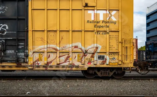 FBOX502683