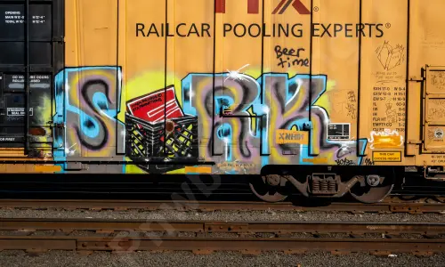 TBOX667613