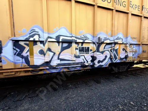 TBOX675083