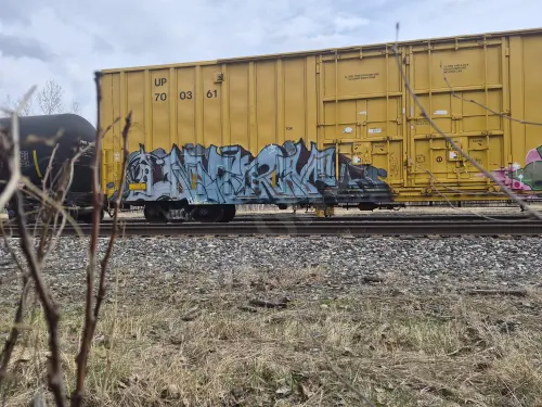 UP700361
