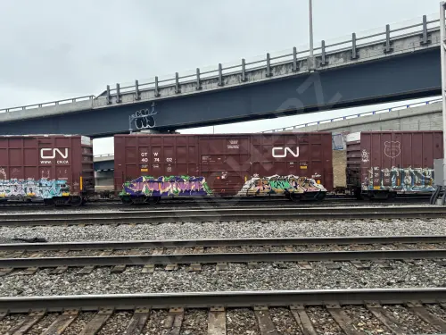 Train photo