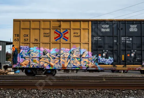 TBOX635776