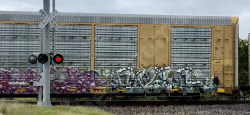 CTTX690121