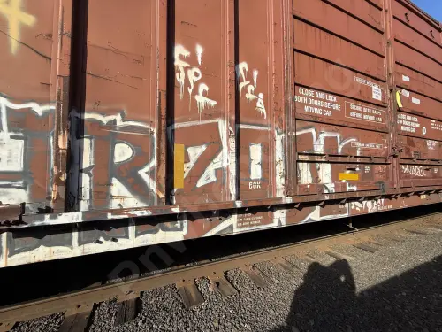 UP369149