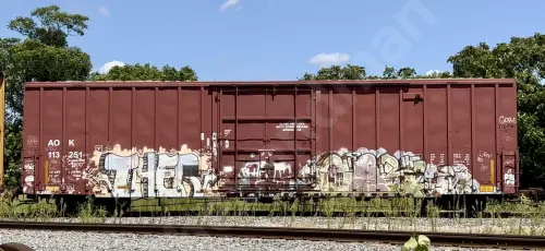 AOK113251