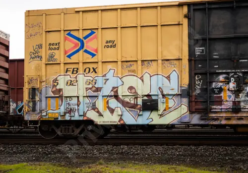 FBOX502697