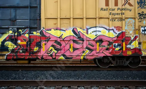 FBOX502777
