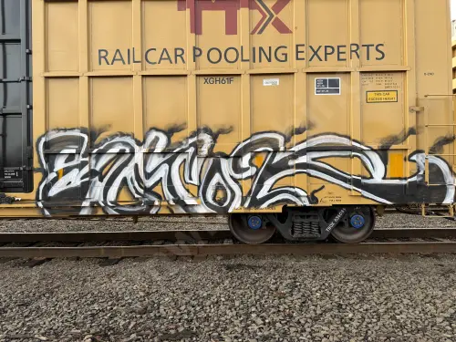 TBOX636089