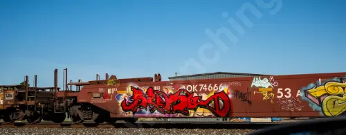 AOK74666
