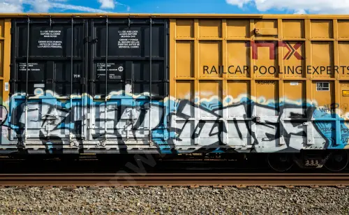 TBOX631781