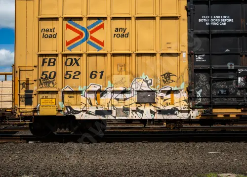 FBOX505261