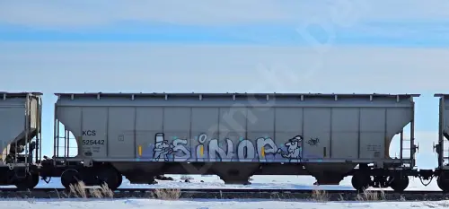 Train photo
