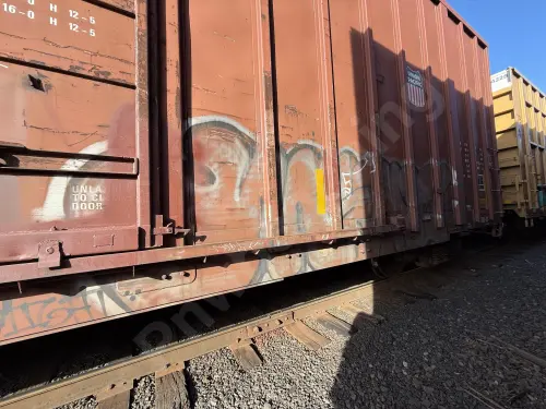 UP369149