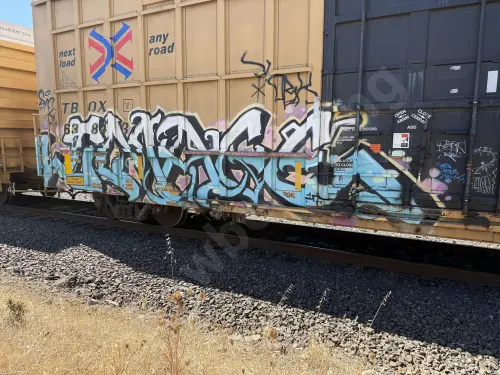 TBOX638437