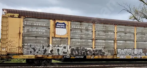 TTGX255159