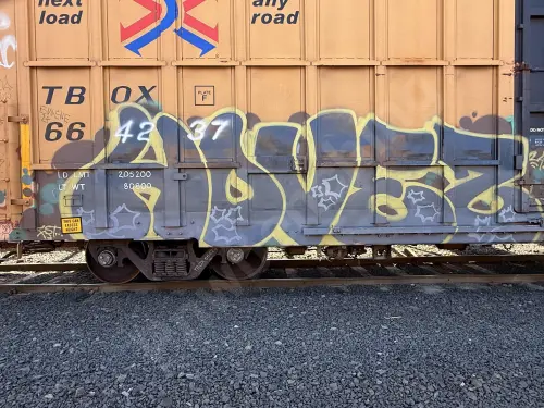 TBOX664237