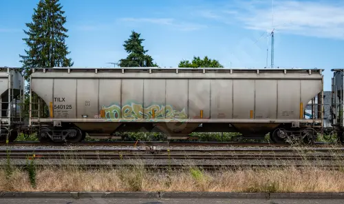 Train photo