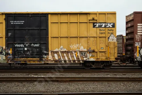 FBOX504166