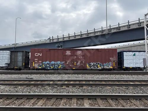 Train photo