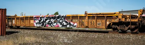 DTTX785296