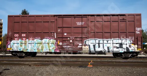 COER101932