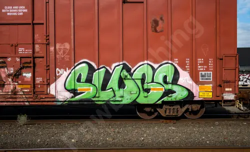 TBOX889428