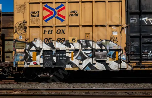 FBOX505996
