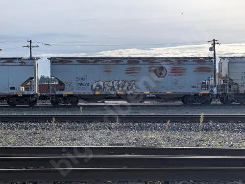 SOO119622