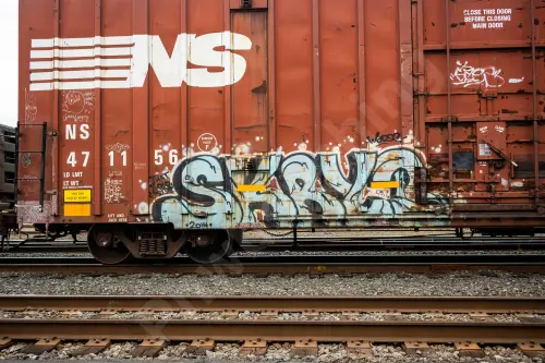 NS471156