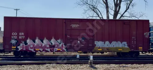 Train photo