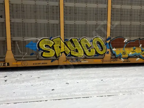 Train photo