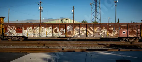 RFRX365178