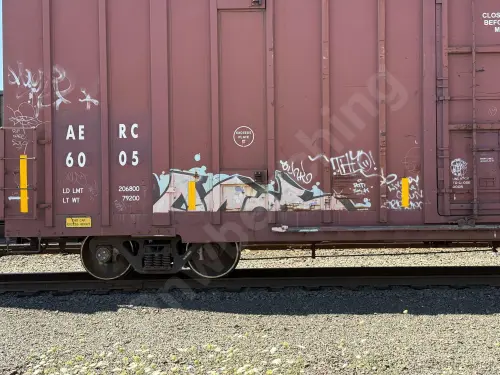 AERC6005