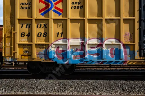 TBOX640811