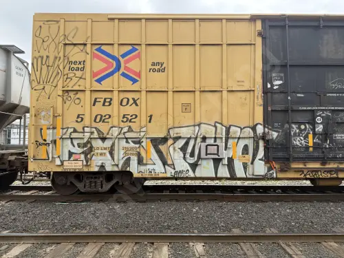 FBOX502521