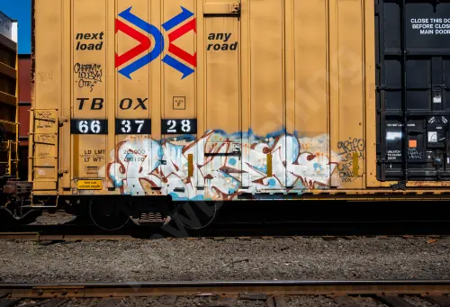 TBOX663728