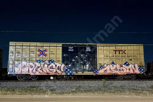 TBOX631977