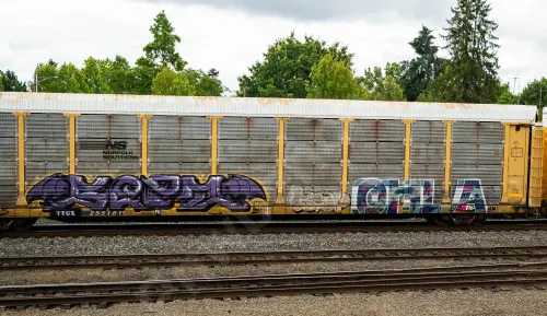 Train photo