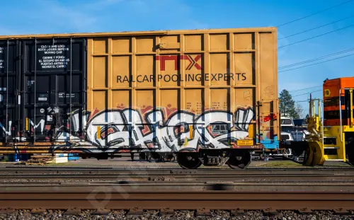 TBOX639793