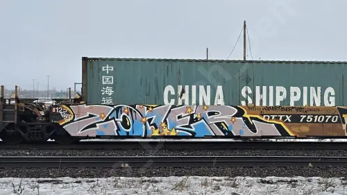 DTTX751070