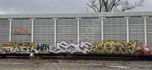Train photo