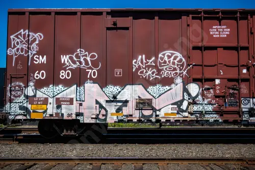 SMW608070