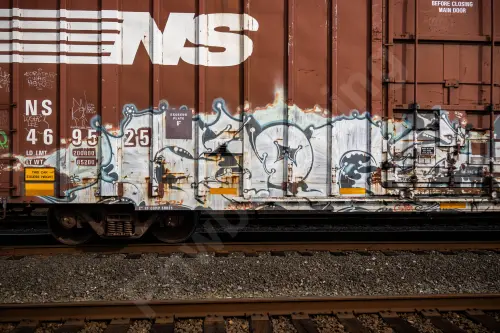 NS469525
