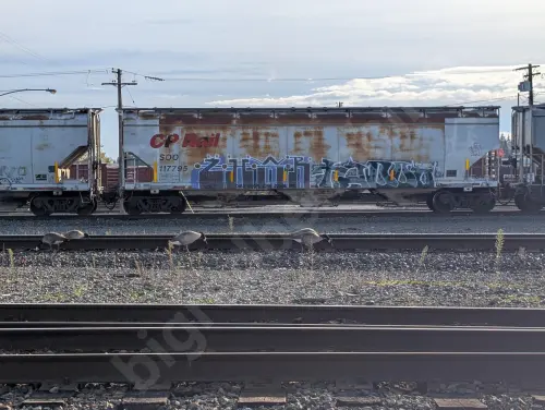 SOO117795