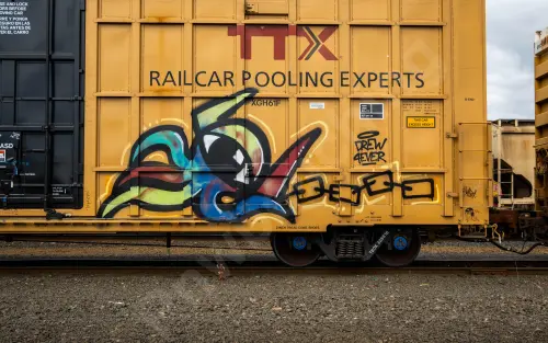 TBOX635818