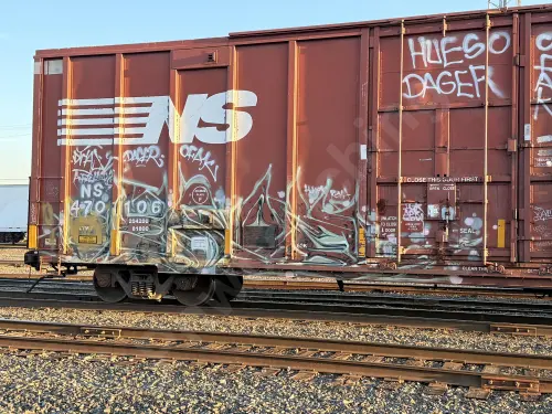 NS470106
