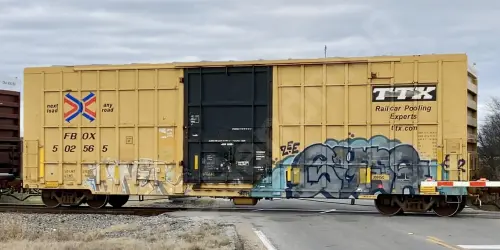 FBOX502565