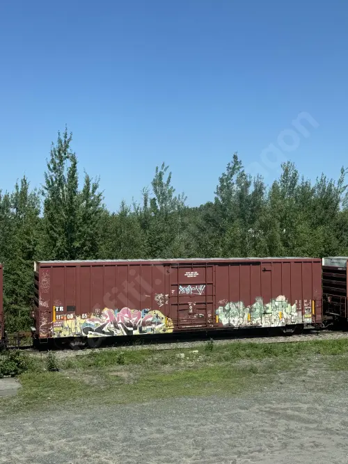 TR110065