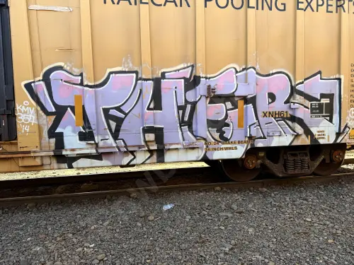 TBOX667549
