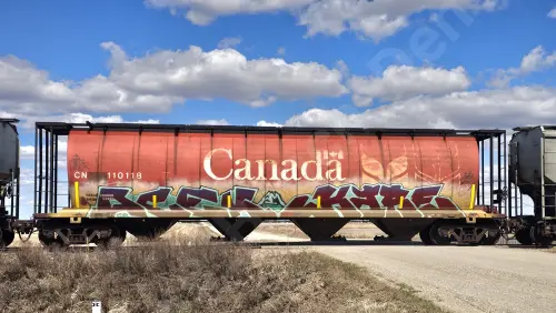 CN110118